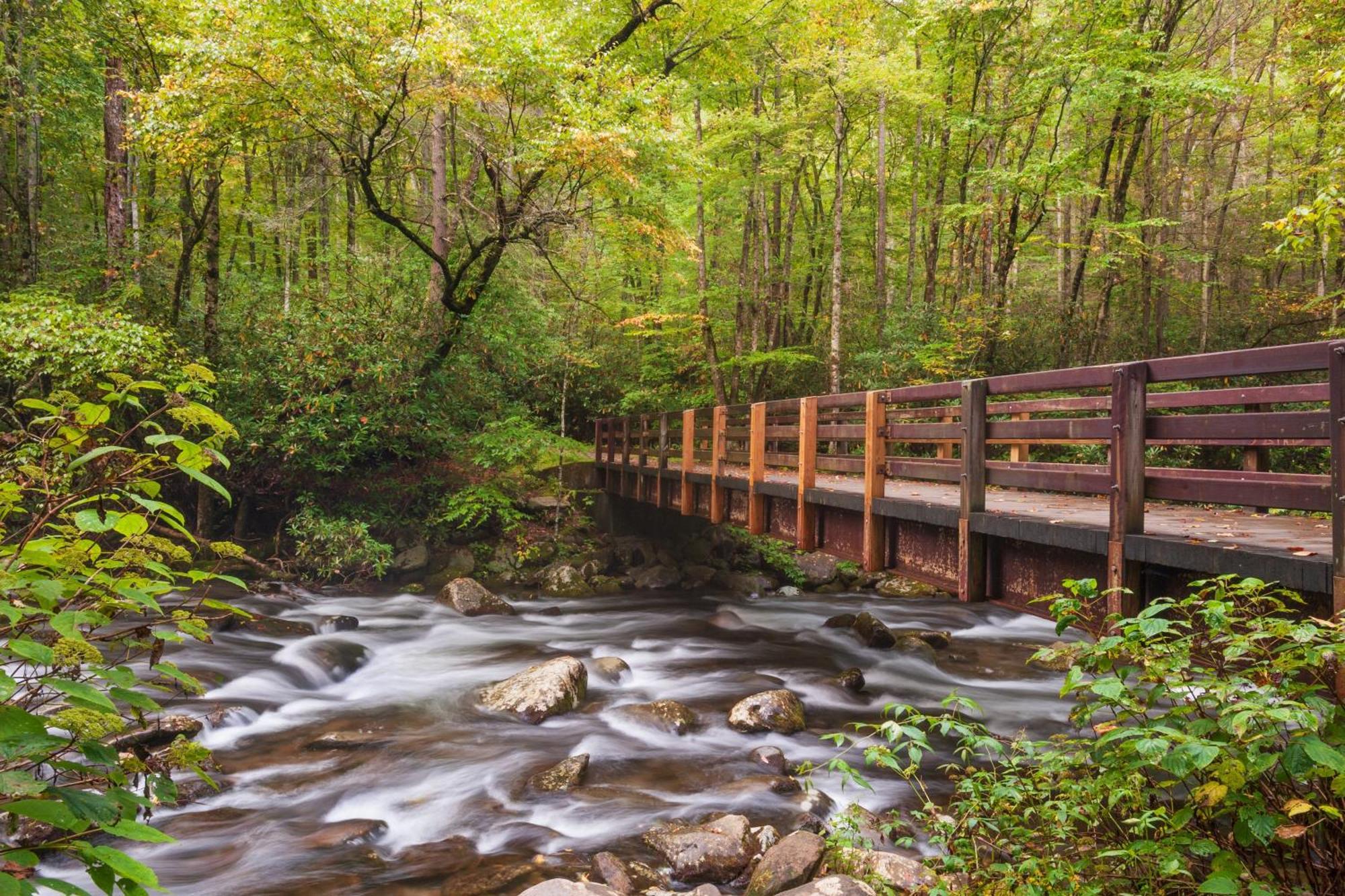 Serenity Heights, Amazing Views, Hot Tub Pool Access, 1089 Free Tickets Each Paid Day, Dollywood Gatlinburg Exterior foto